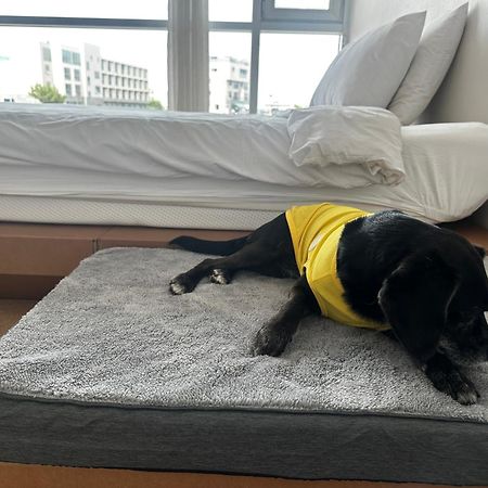 Hotel Bedradio Dodubong Togŭnnae Zewnętrze zdjęcie