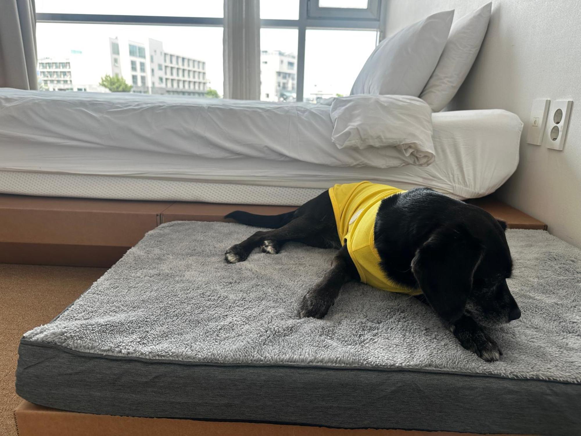 Hotel Bedradio Dodubong Togŭnnae Zewnętrze zdjęcie